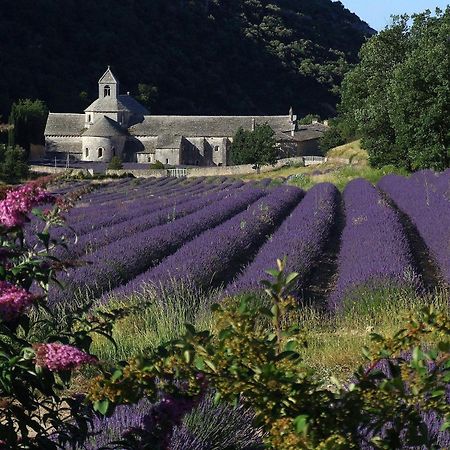 La Calvinette Pernes-les-Fontaines Exterior foto